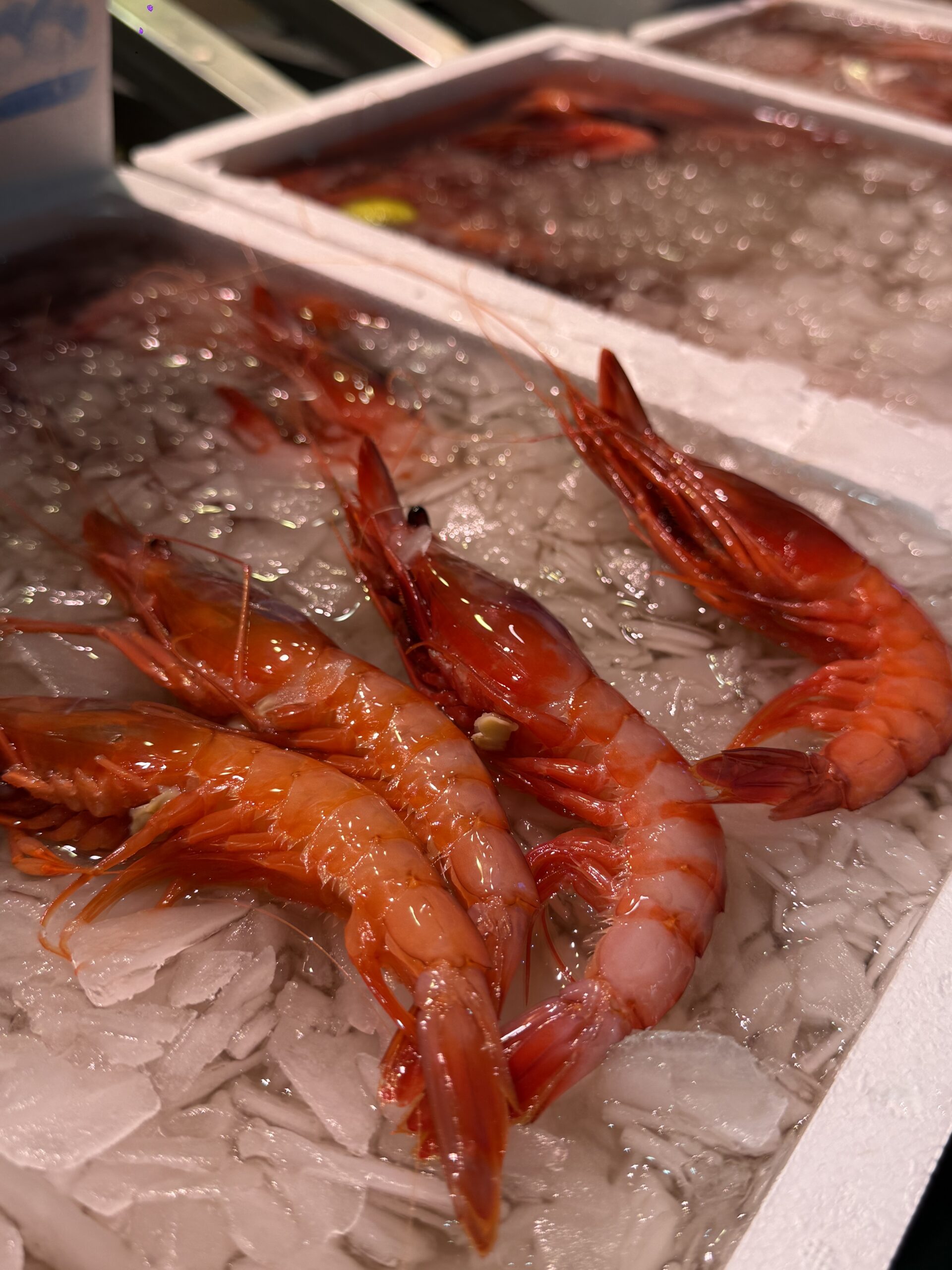 Crustáceos frescos y cocidos para hostelería y pescaderías