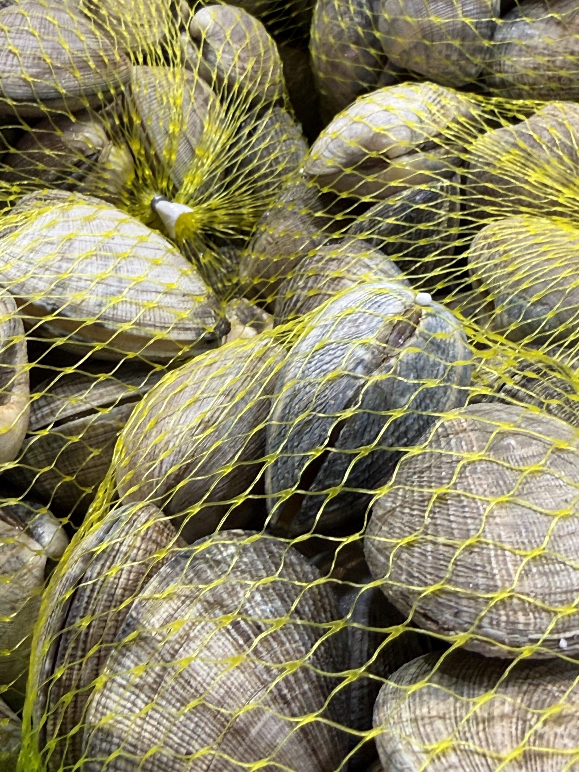 Moluscos seleccionados para profesionales del producto fresco